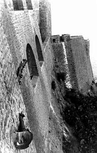 D 038- Fort Santa- Cruz